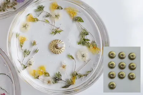 デザイン座金マムの画像